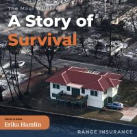 Blog of Erika Hamlin about a story of survival